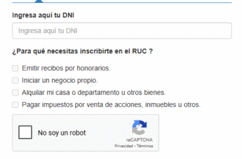 Paso a paso: Cómo sacar tu RUC por internet (2025)